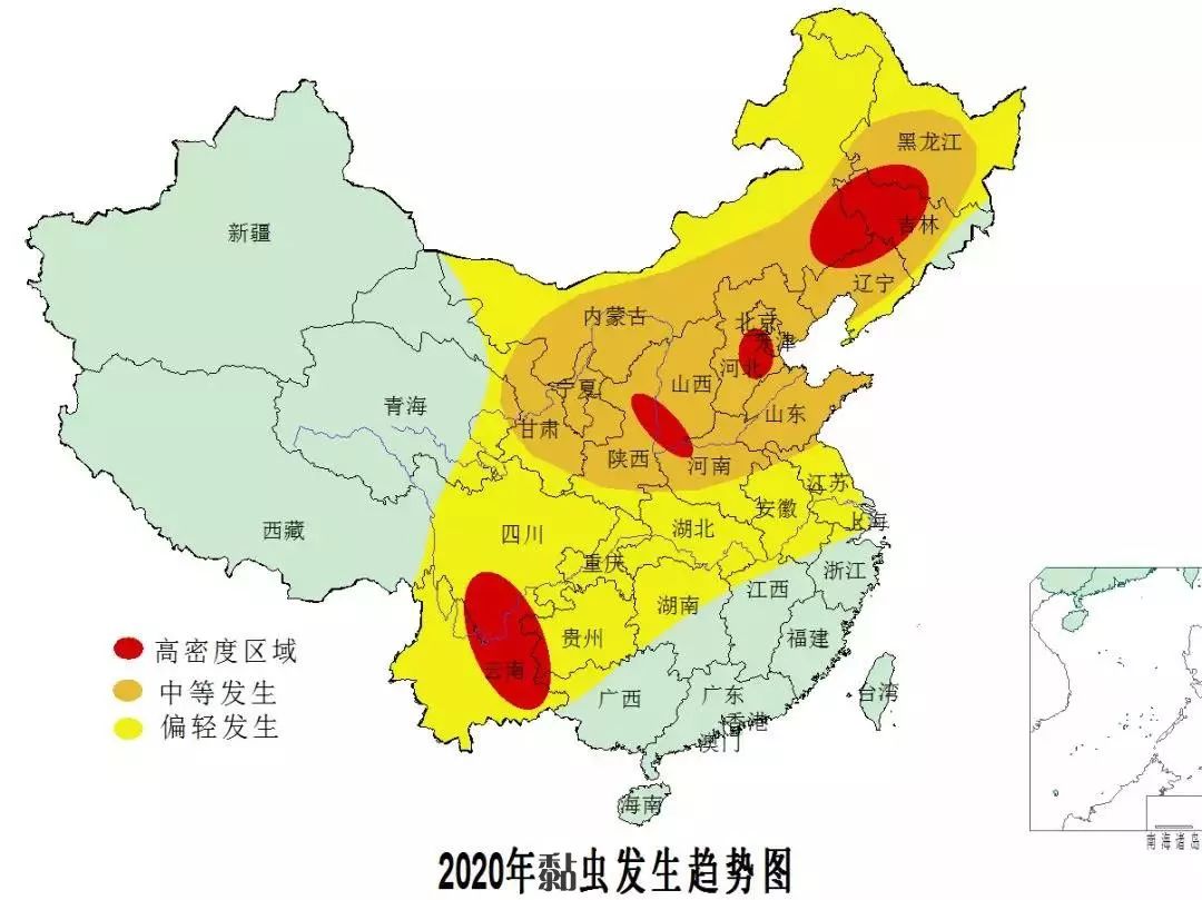 权威预报：今年种杂粮大豆，务必严放三类虫害！