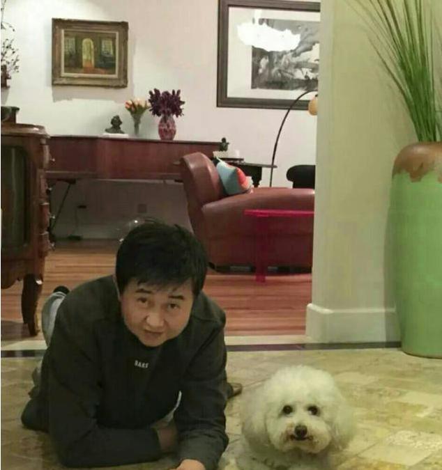参观付笛声和任静的家，墙上用青花瓷来装饰，从装修就看出有格调