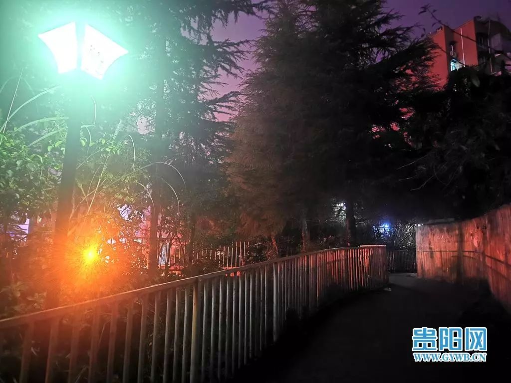 网络问政追踪 | 贵阳云岩区狮子山“失明”路灯，亮了