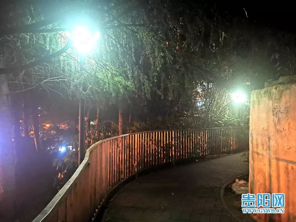 网络问政追踪 | 贵阳云岩区狮子山“失明”路灯，亮了