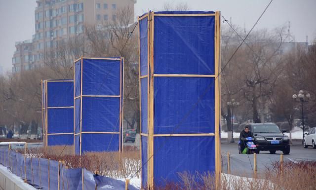 1月份园林养护,加强防冻与越冬害虫防控是重点,看似简单很重要