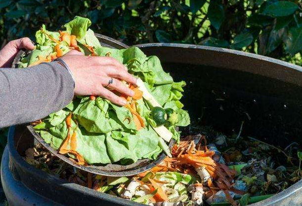 世界上最浪费的国家：路灯空调开一天，每年遗弃3600万吨粮食！