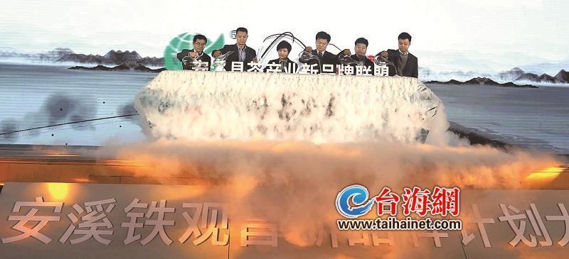 好茶不贵 千年古茶拥抱新消费 拼多多助力安溪铁观音数字化转型