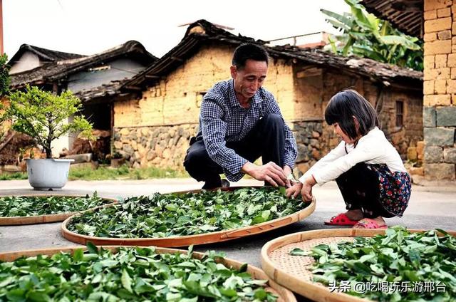 中国茶产业开始巨变！安溪铁观音拥抱新电商，打入年轻人圈子