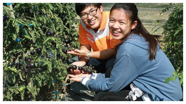 它便是“黑珍珠”，外貌独特，且珍贵不凡，你们认识吗？