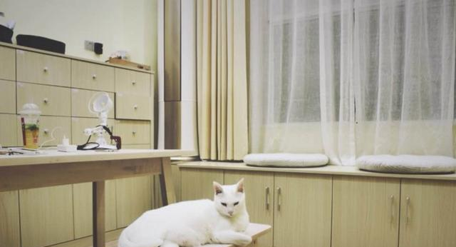 飘窗装修设计也不一定要用大理石, 这样就很美!!