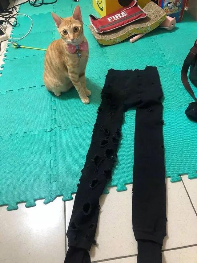 天气变冷了,女子翻出去年的厚袜子来穿,拿出来一看直翻白眼