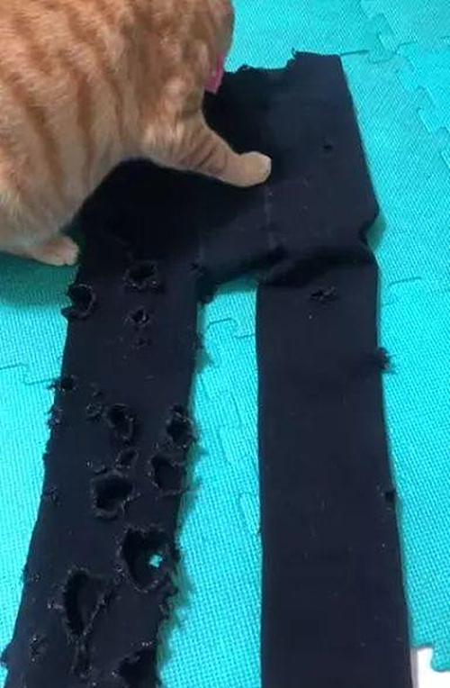 天气变冷了,女子翻出去年的厚袜子来穿,拿出来一看直翻白眼