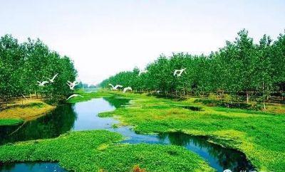 致力于酿造黄河古道民权风味葡萄酒的企业——帝森