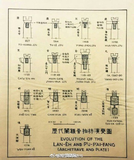 每一张都是艺术品……