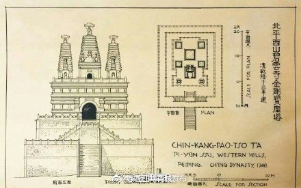 每一张都是艺术品……