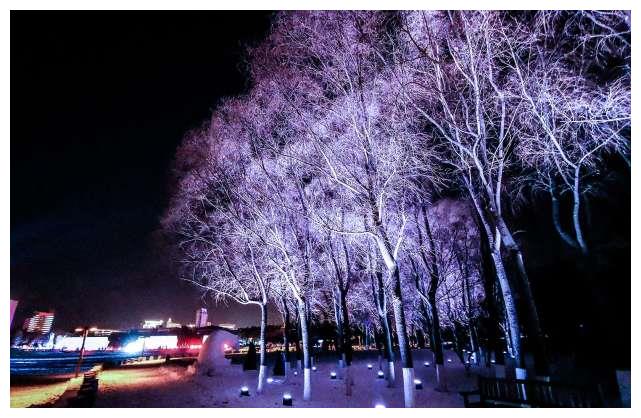 长春世界雕塑园冰雪灯光秀