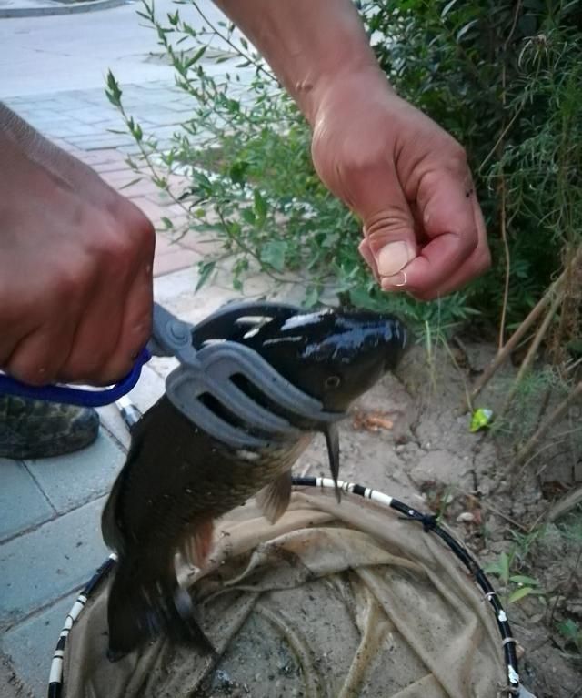 外出钓鱼，除了常规装备，这些不起眼的小配件往往也能帮上大忙