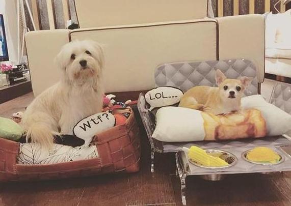 带你参观萧亚轩的家,有专用电梯直达衣帽间,门口还堆满了鞋盒子