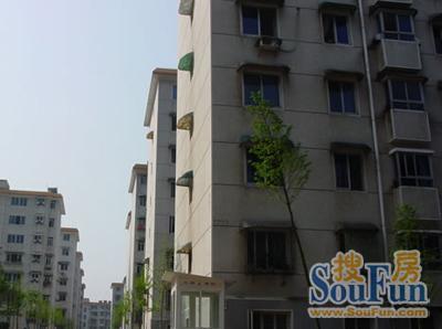 江岸超高人气小区中南机电宿舍 VS 天津路小区？