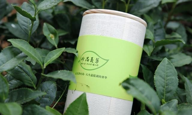 一泡铁观音茶的最佳克数是多少?读了此文,恍然大悟!