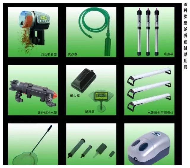 养金鱼的4大类器材，欲工善其事，必先利其器