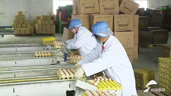 生态蛋、大豆蛋白粉...德州企业爱心捐赠驰援武汉战疫一线
