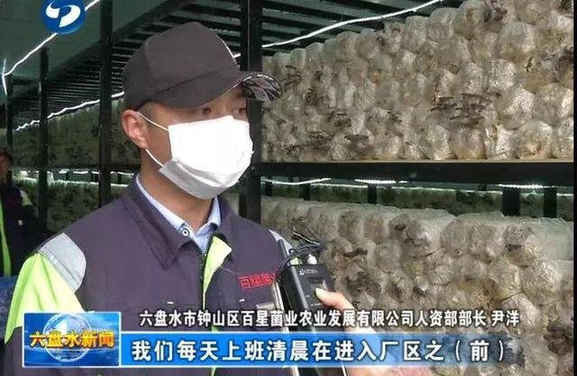六盘水：食用菌企业科学复工，市民“菜篮子”货足价稳