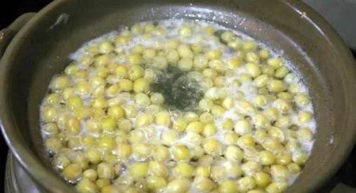 玉树修剪太狠了，只剩光杆反而好养，来点大豆水就窜新芽