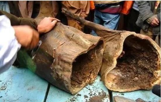 吊在房梁30年的“臭猪肉”，游客嫌脏不敢吃