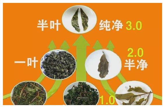明星与茶｜朴实细腻涂凌与半叶铁观音小切茶