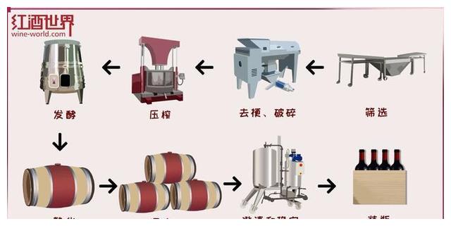 红、白葡萄酒的酿造故事