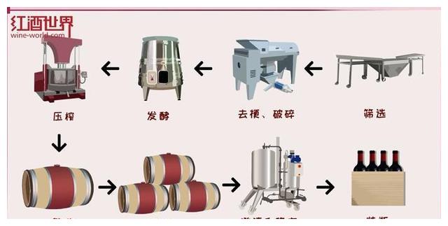 红、白葡萄酒的酿造故事
