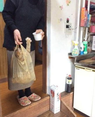 老妈用塑胶袋来装液体喵，网友：菜市场买回来的吗？一斤多少钱？