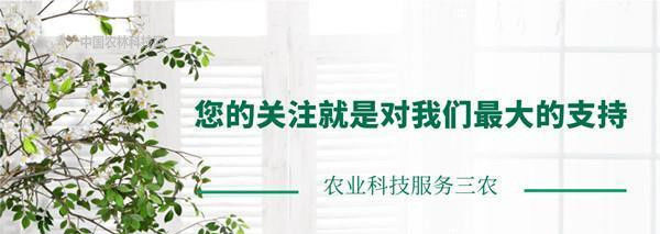 全球重要农业文化遗产，兴化垛田！一县一品，江苏兴化特产大闸蟹