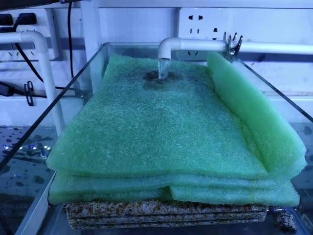 三合一水泵的出氧口对着鱼缸壁使劲吹,鱼缸的过滤效果能好才怪