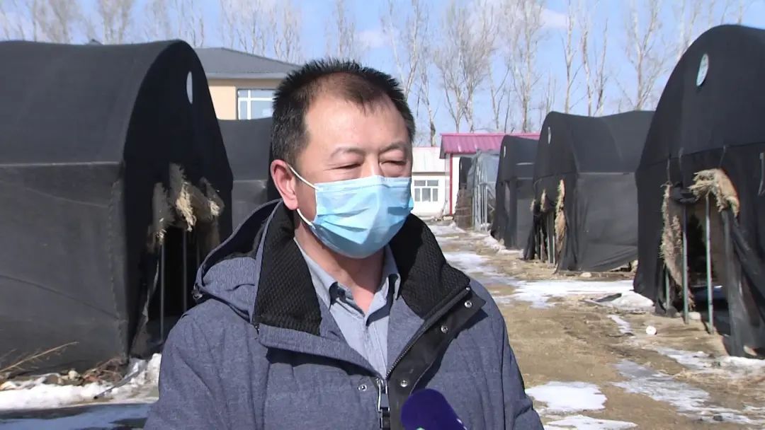 战疫情 保生产 | 海林多家食用菌合作社复工啦！