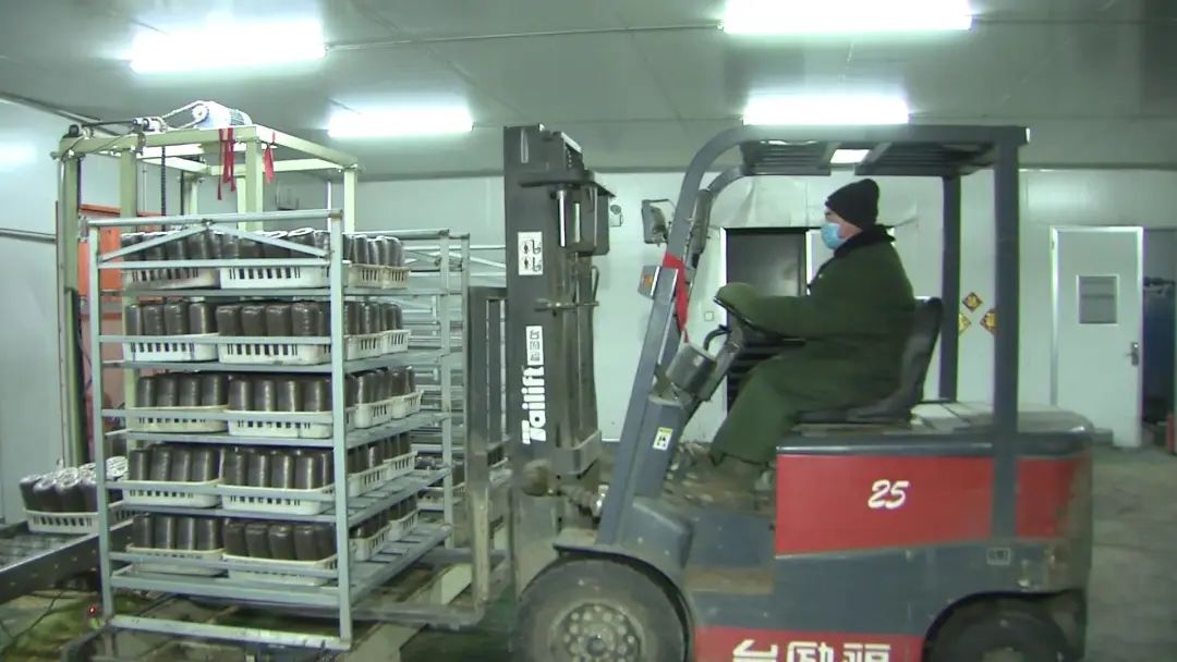 战疫情 保生产 | 海林多家食用菌合作社复工啦！
