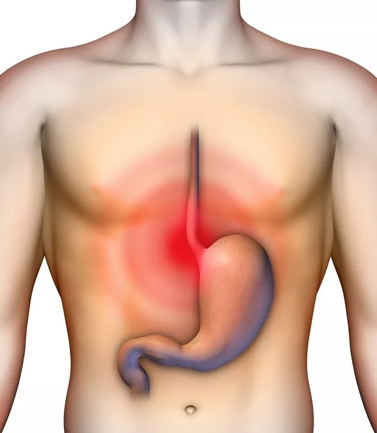 冬季胃有3怕,养护胃部,常喝三种水,做好四件事,胃会越来越好