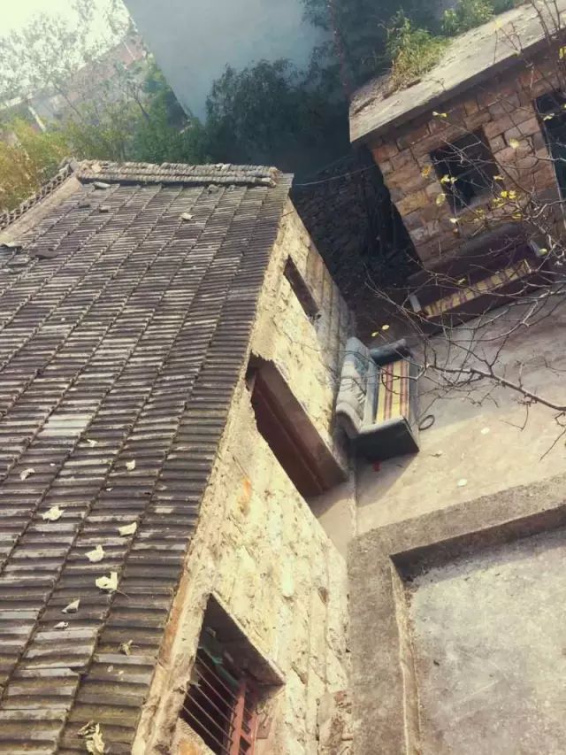 10000元能干什么?她建了民宿+花园+咖啡厅+摄影棚+餐厅……