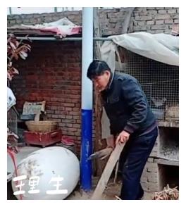 朱之文骑12里地卖废品，一车才30块？儿子约会只给500被指太抠门