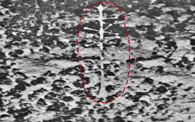 南极深处海底发现“天线”神秘物体，科学家：不像是自然造物