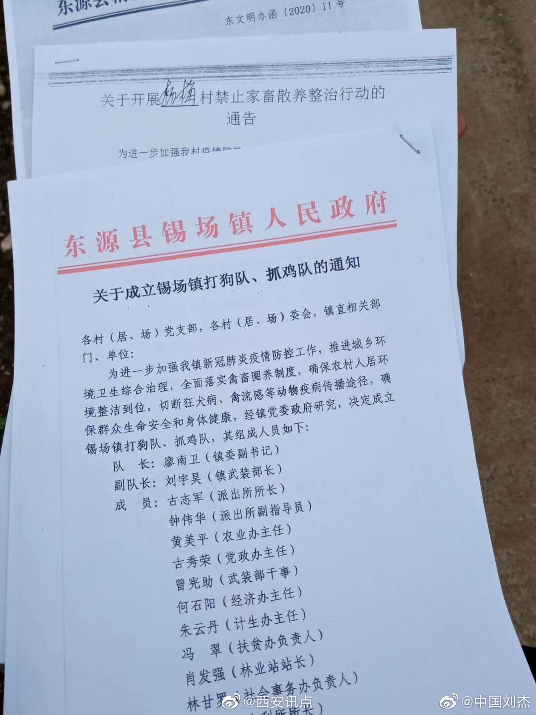 网友：东源县疫情期间最严家畜家禽管理，乡镇成立打狗队
