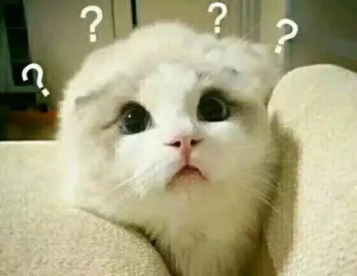 “网购返现”内幕,速看!