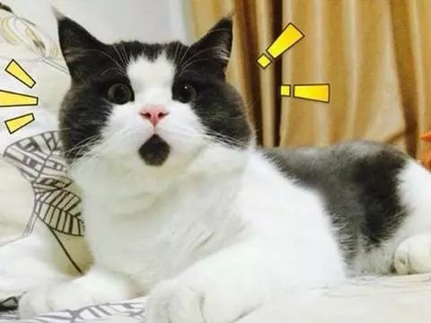 “网购返现”内幕,速看!
