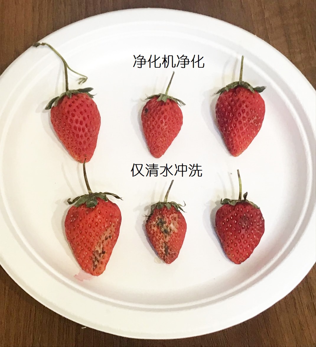欧琳净化机让水变个小魔术：去农残，净餐具，还能阻击细菌侵入口