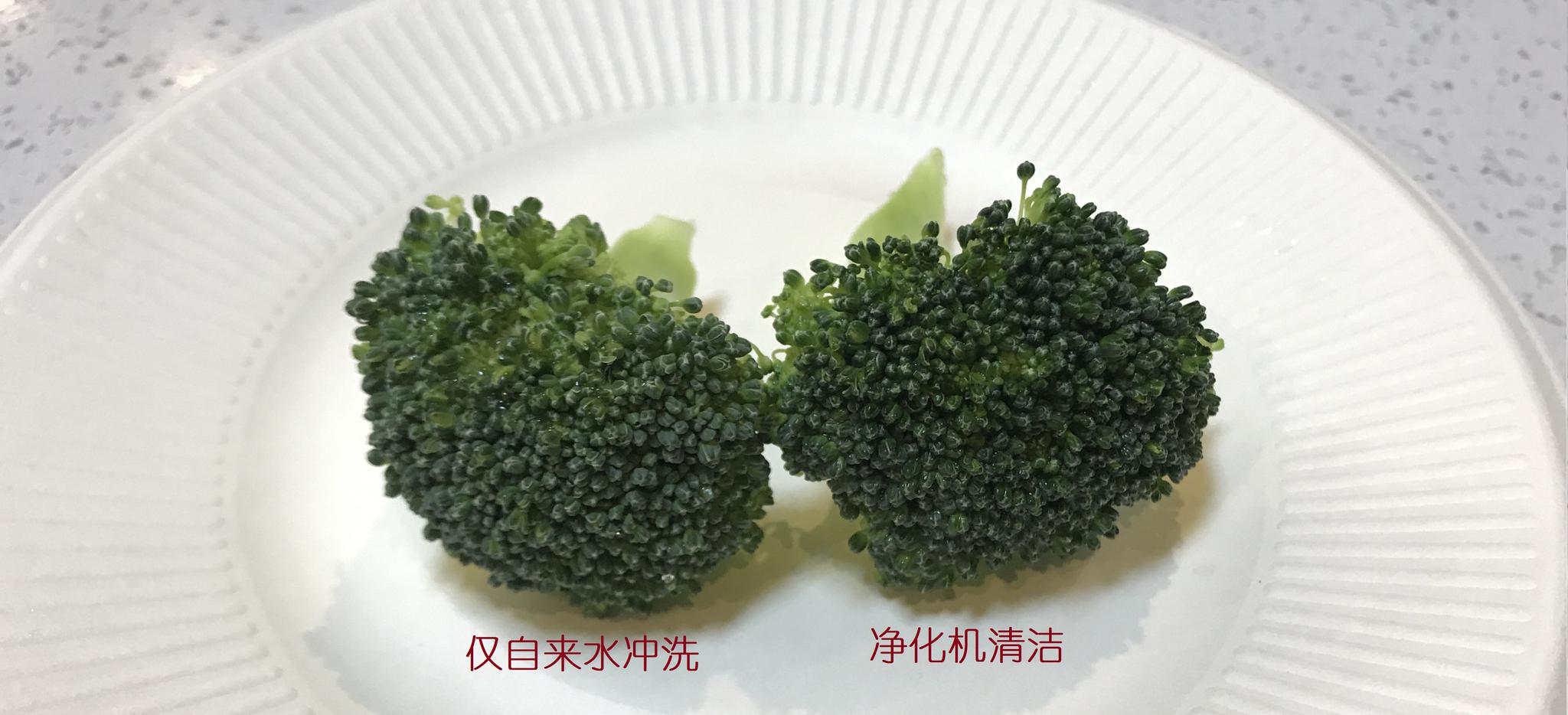 欧琳净化机让水变个小魔术：去农残，净餐具，还能阻击细菌侵入口