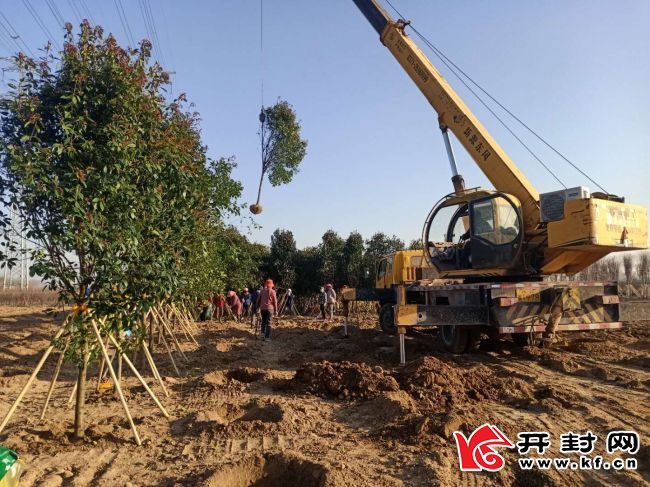 城乡一体化示范区城管局：加强春季园林绿化养护管理工作