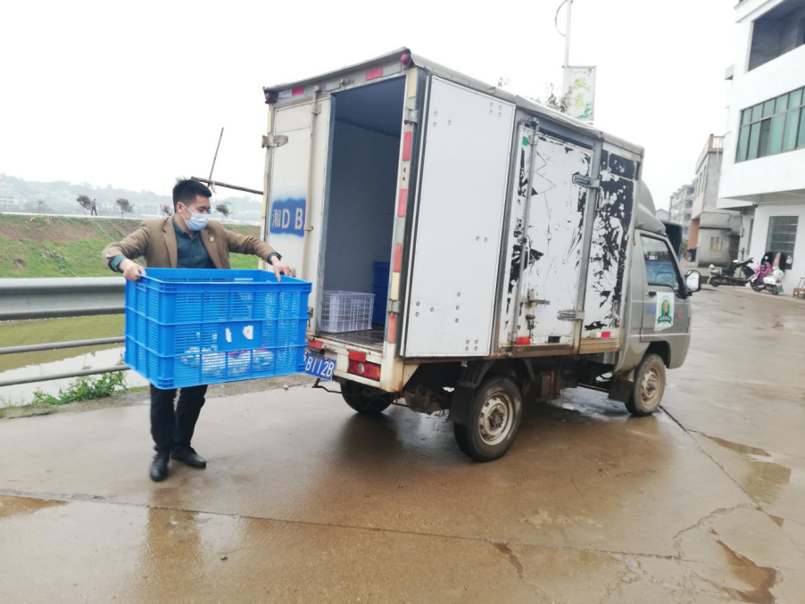 衡阳蒸湘区呆鹰岭镇：做强本土电商品牌 助力当地脱贫攻坚