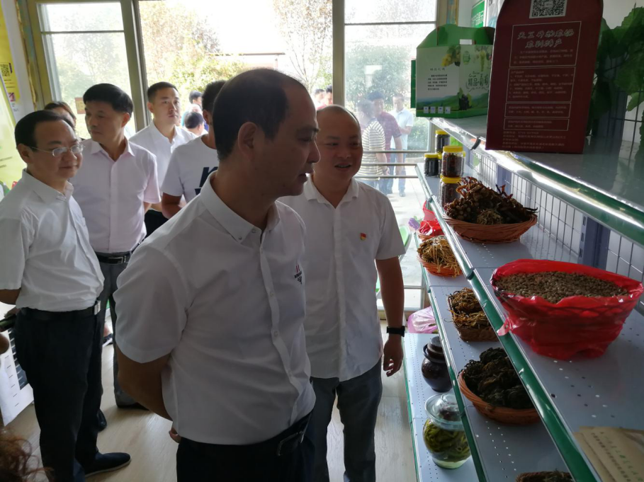 衡阳蒸湘区呆鹰岭镇：做强本土电商品牌 助力当地脱贫攻坚
