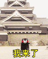 OMG!!!这些不到20块的首饰也太好看了吧!带链接!