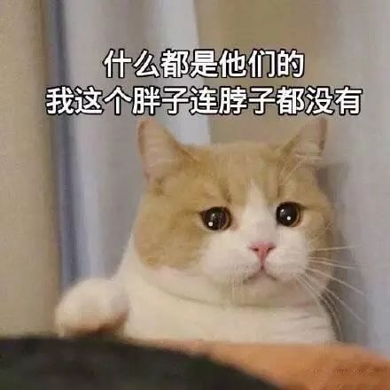 OMG!!!这些不到20块的首饰也太好看了吧!带链接!