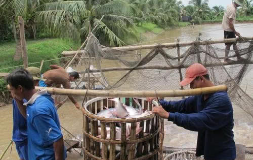 越南坐不住了，“两大特产”接连在中国碰壁，当地人：请帮帮我们