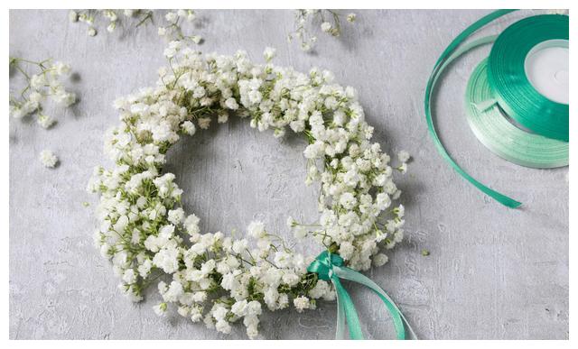 这样养护的“满天星”，小花开放不断，犹如繁星点点，朦胧迷人