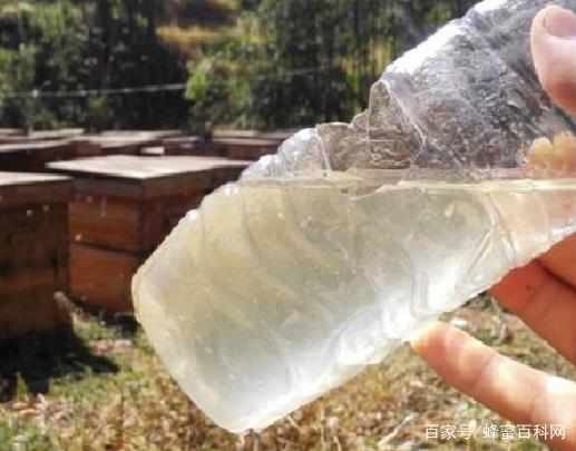 蜂蜜和水一样淡，是真的蜂蜜吗？
